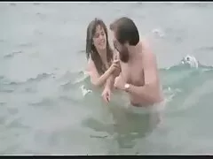 තද බූරුවා ඝන විලී සමඟ තදබදයට පත් වේ